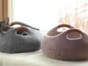 cat bed